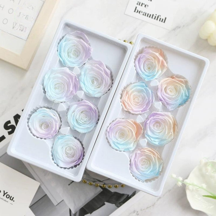 Iridescent Preserved Roses, 2-6cm Pack