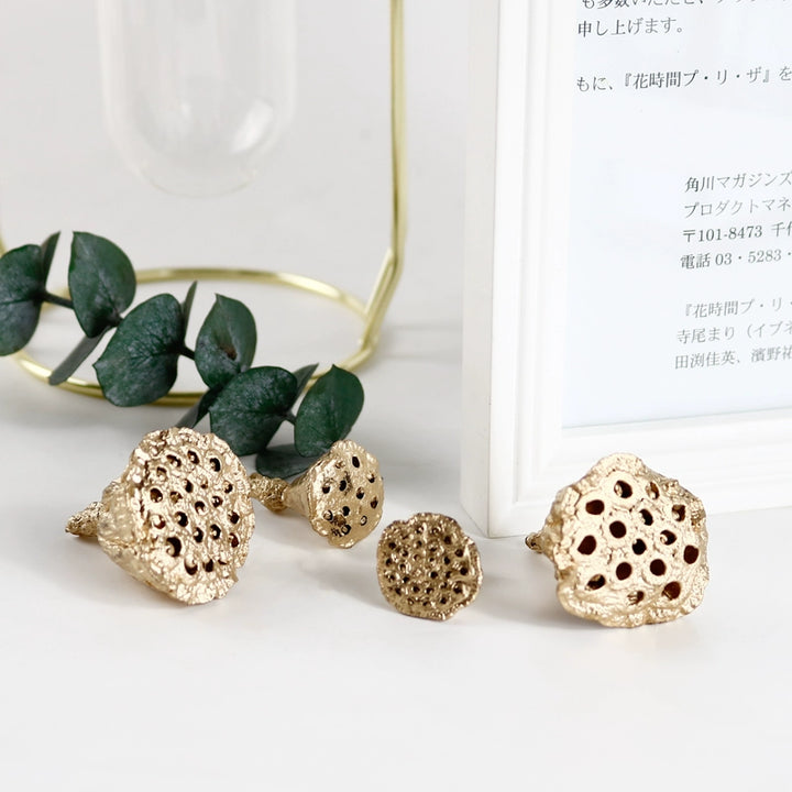 EarthMatters Preserved Lotus Pods for DIY Crafts and Floral Decor