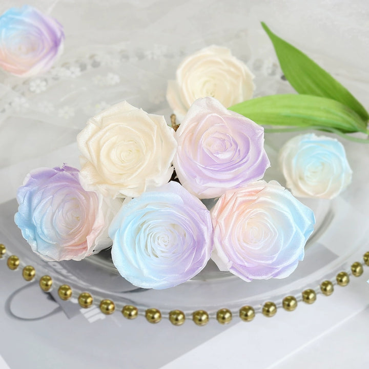 Pearlescent Preserved Rose For DIY Bouquet – 5-6CM Bloom for Crafting and Decor