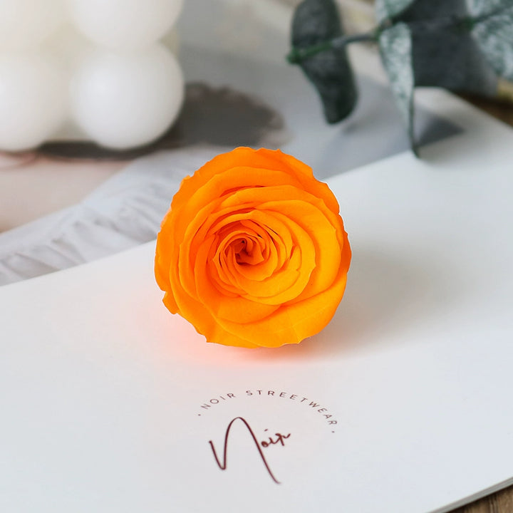 Preserved Mini Roses – 2-3CM Single Bloom for DIY Crafts, Multi-Color Options