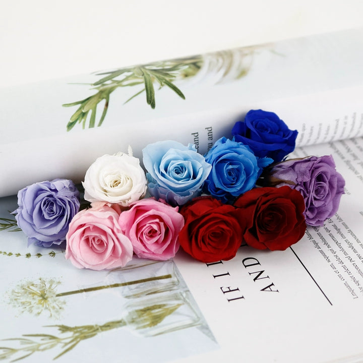 Mini Preserved Roses 2-4cm for Keychain and DIY Crafts