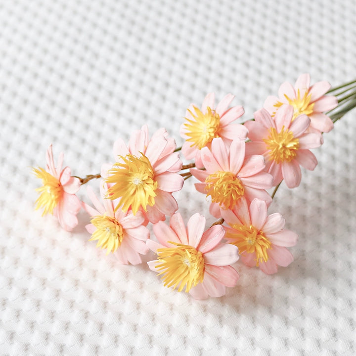 Preserved Daisy For DIY Craft (10 Stems) – 5-6CM Blooms for Floral Decor