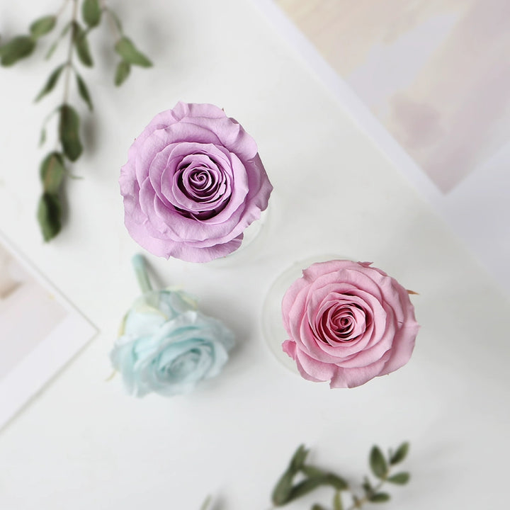 preserved-roses-diy-craft-kit-9-pieces-4-5cm-blooms-for-floral-decorations