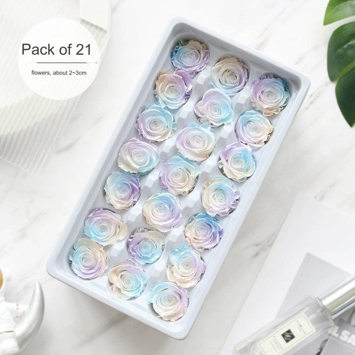 Iridescent Preserved Roses, 2-6cm Pack