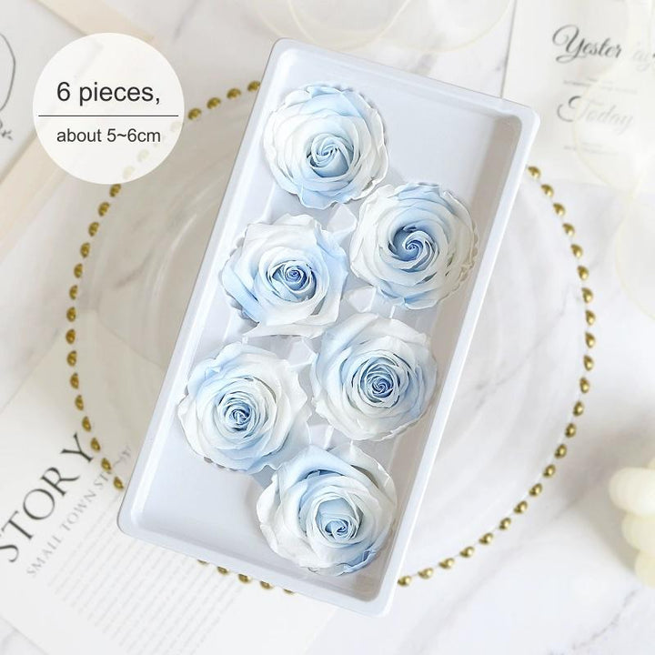 Premium Preserved Blue-White Rose for Floral Arrangements - 2-6cm