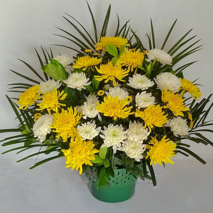 Green Plastic Funeral Flower Basket Pack 5, perfect as floral supplies.