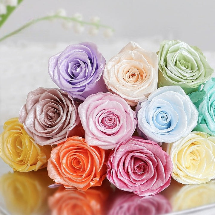 Pearlescent Preserved Cream Rose – 4-5CM Single Bloom DIY Craft Kit