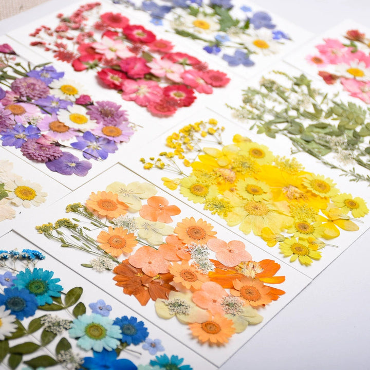 26 Pcs Real Dried Pressed Flowers for Resin Crafts