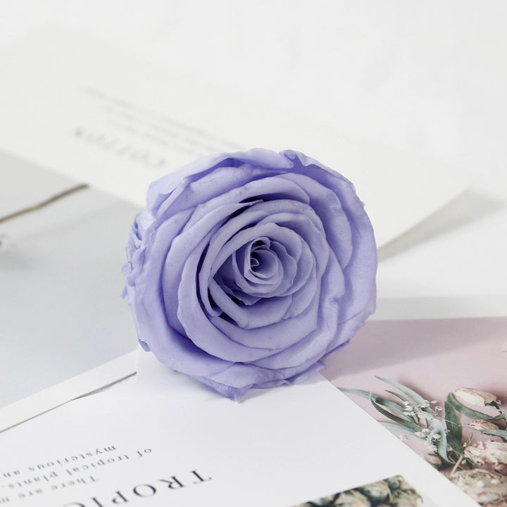 preserved-roses-5-6cm-single-rose-for-floral-decorations-and-gifts