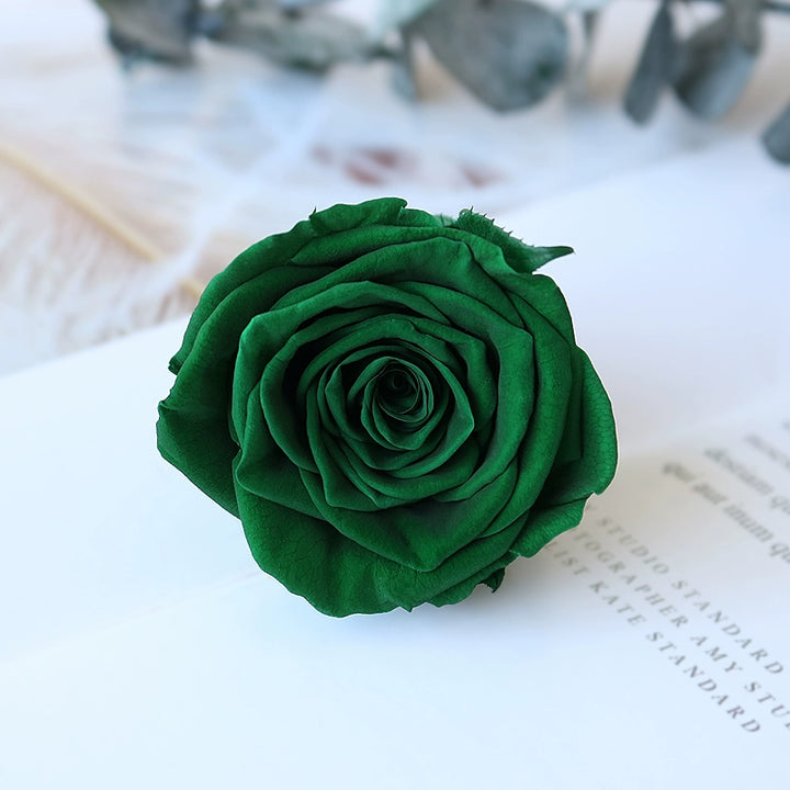 Preserved Single Rose Head for DIY Crafting – 4-5cm, Multiple Color Options