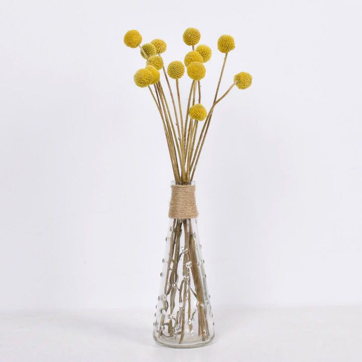 18 Stems Natural Dried Billy Balls Flowers