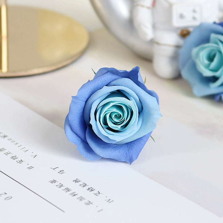 Elegant Preserved Primavera Roses - Single Bloom 3.5-4.5cm