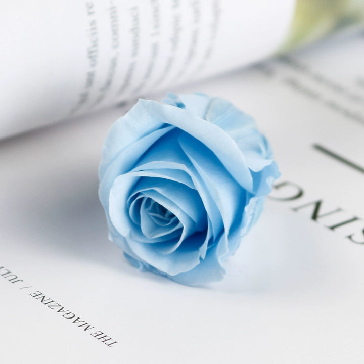 Mini Preserved Roses 2-8cm for Keychain and DIY Crafts