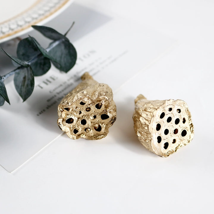 EarthMatters Preserved Lotus Pods for DIY Crafts and Floral Decor