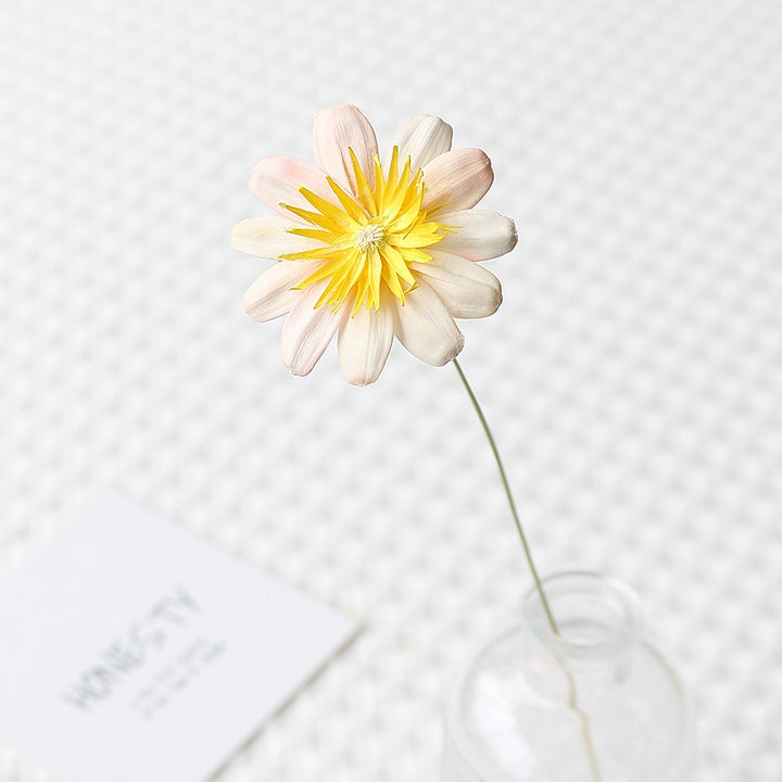 Colorful Preserved Daisy Flowers – Single Bloom for DIY Floral Crafts