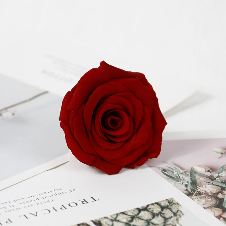 preserved-roses-5-6cm-single-rose-for-floral-decorations-and-gifts