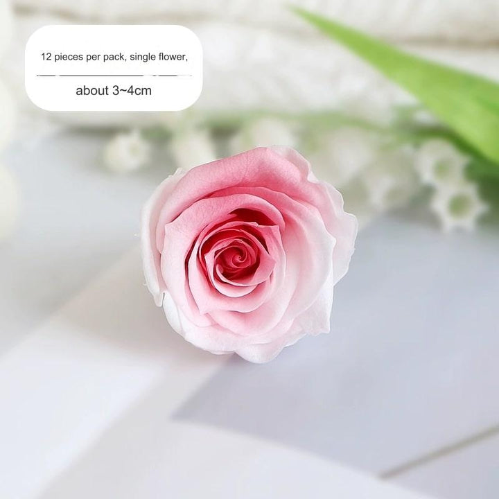 Premium Preserved Pink-White Rose, 2-6cm