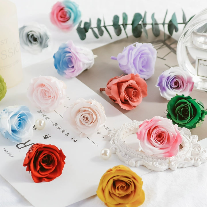 preserved-gradient-roses-12-pieces-3-4cm-blooms-for-floral-crafts