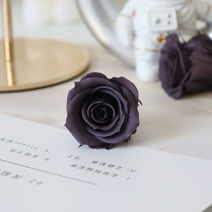 Elegant Preserved Primavera Roses - Single Bloom 3.5-4.5cm