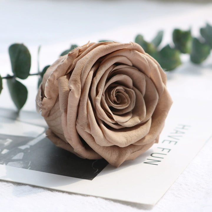 Preserved Single Rose Head for DIY Crafting – 4-5cm, Multiple Color Options