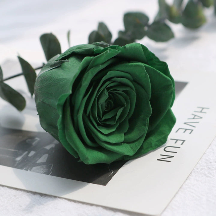 Preserved Single Rose Head for DIY Crafting – 4-5cm, Multiple Color Options