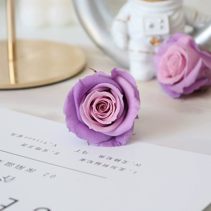 Elegant Preserved Primavera Roses - Single Bloom 3.5-4.5cm