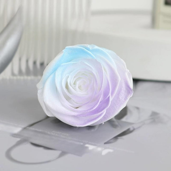 Pearlescent Preserved Rose For DIY Bouquet – 5-6CM Bloom for Crafting and Decor