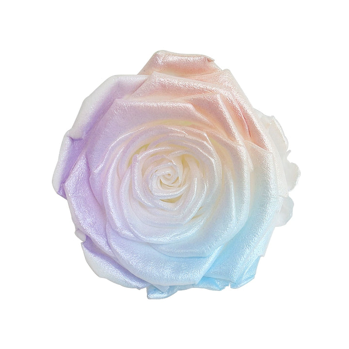 Pearlescent Preserved Rose For DIY Bouquet – 5-6CM Bloom for Crafting and Decor