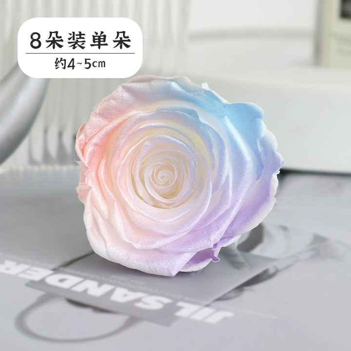 Pearlescent Preserved Rose For DIY Bouquet – 5-6CM Bloom for Crafting and Decor