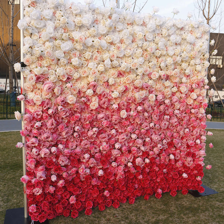 Luxury white to red rose flower wall for event decor
