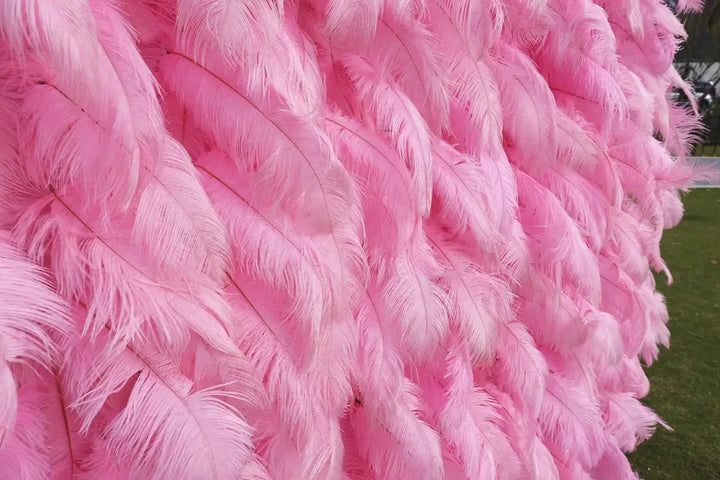 Luxurious pink feather wall for party decoration
