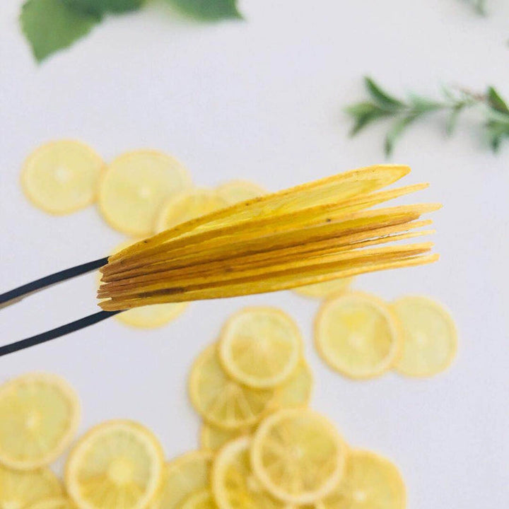 5 Pcs Dried Pressed Lemon Slices for DIY Crafts