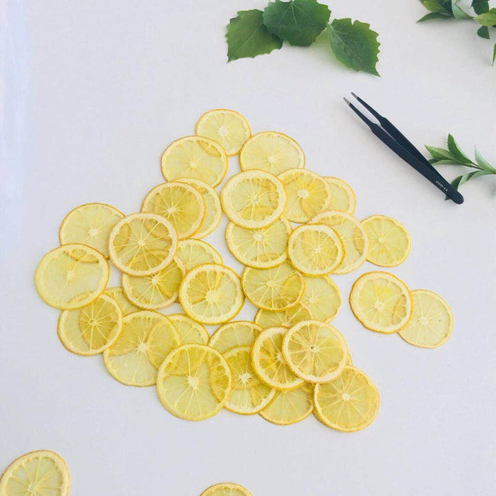 5 Pcs Dried Pressed Lemon Slices for DIY Crafts