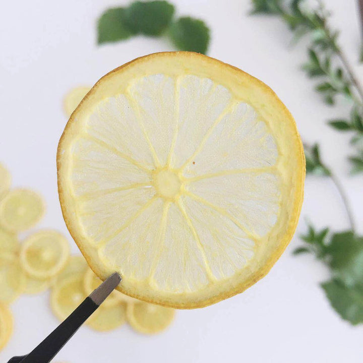 5 Pcs Dried Pressed Lemon Slices for DIY Crafts