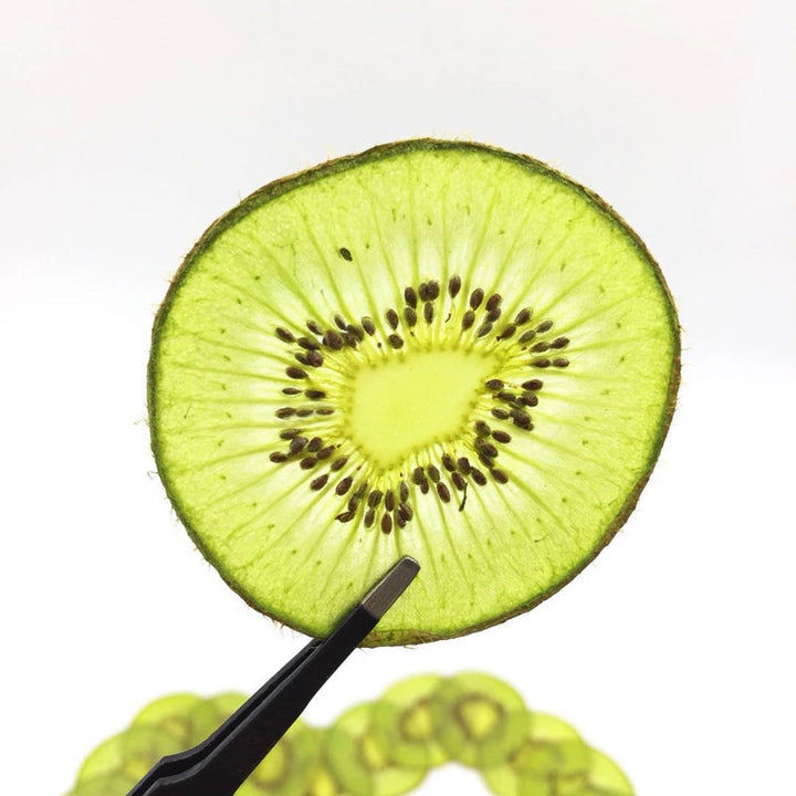 5 Pcs Dried Pressed Kiwi Fruit for Resin Crafts