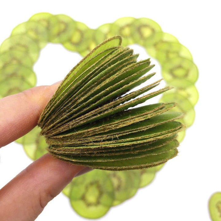 5 Pcs Dried Pressed Kiwi Fruit for Resin Crafts