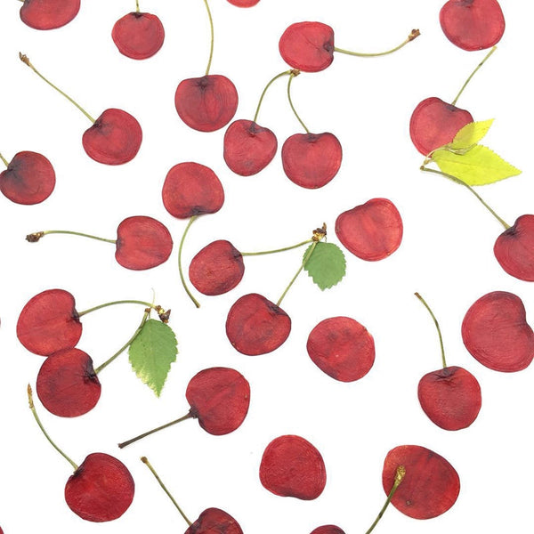 5 Pcs Dried Pressed Cherry Slices for Resin Arts