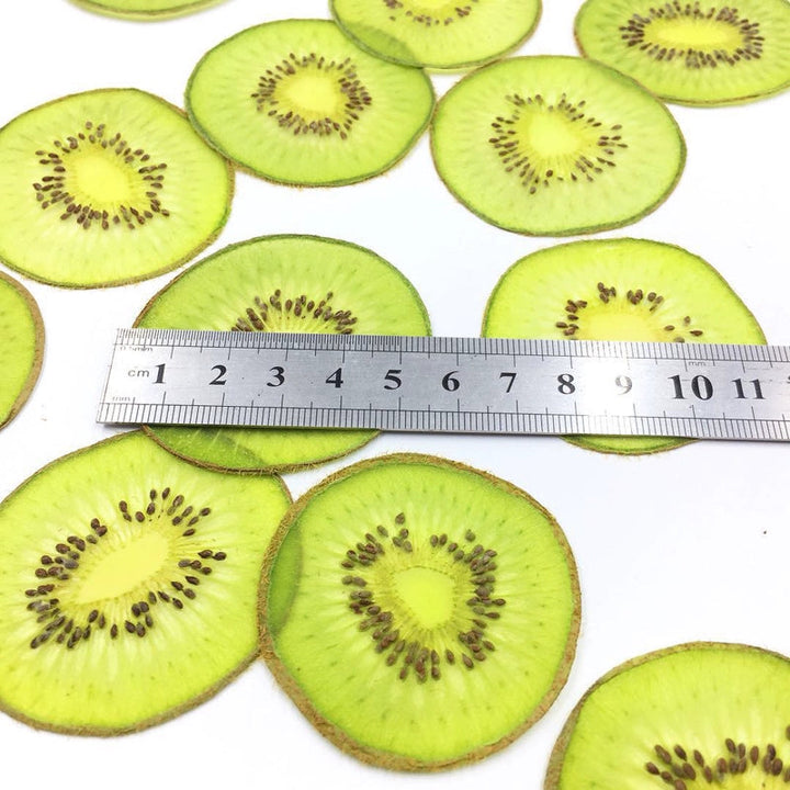 5 Pcs Dried Pressed Kiwi Fruit for Resin Crafts