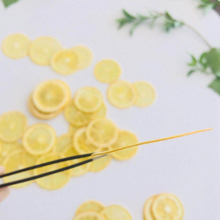 5 Pcs Dried Pressed Lemon Slices for DIY Crafts