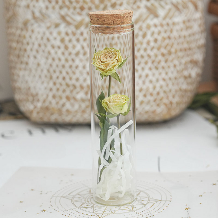 Dried Preserved Flower In Glass Test Tube