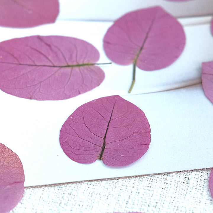 50 Pcs Dried Pressed Pink Leaves for Crafts