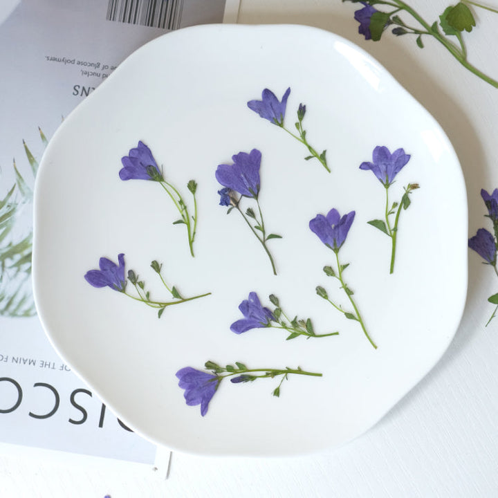 Real Dried Pressed Bellflowers for DIY Crafts