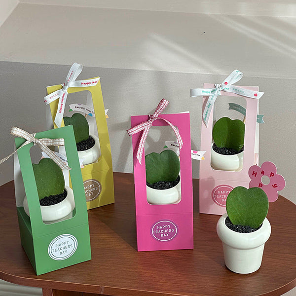 Gift Box for Mini Potted Plants Pack 20