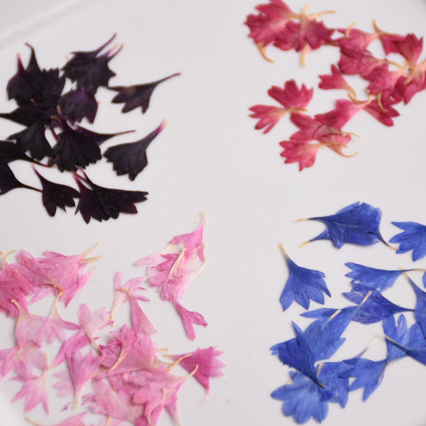 20 Pcs Dried Pressed Cornflower for DIY Crafts