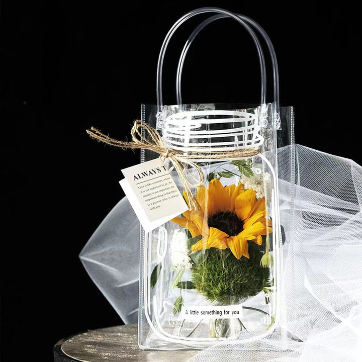 Wishing Bottle Clear Plastic Gift Bags Pack 10