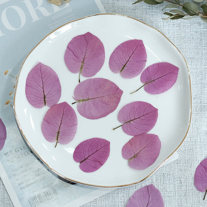 50 Pcs Dried Pressed Pink Leaves for Crafts