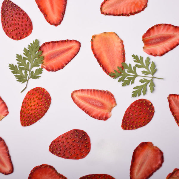 5 Pcs Dried Pressed Strawberry for DIY Crafts