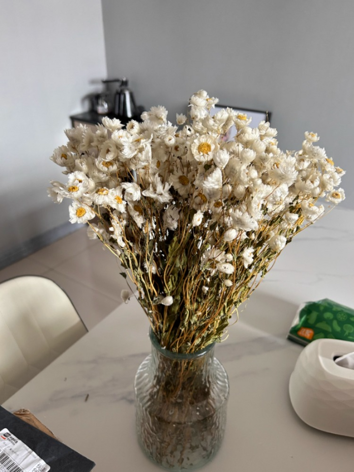 Natural Dried White Daisy Bouquet 100 Head