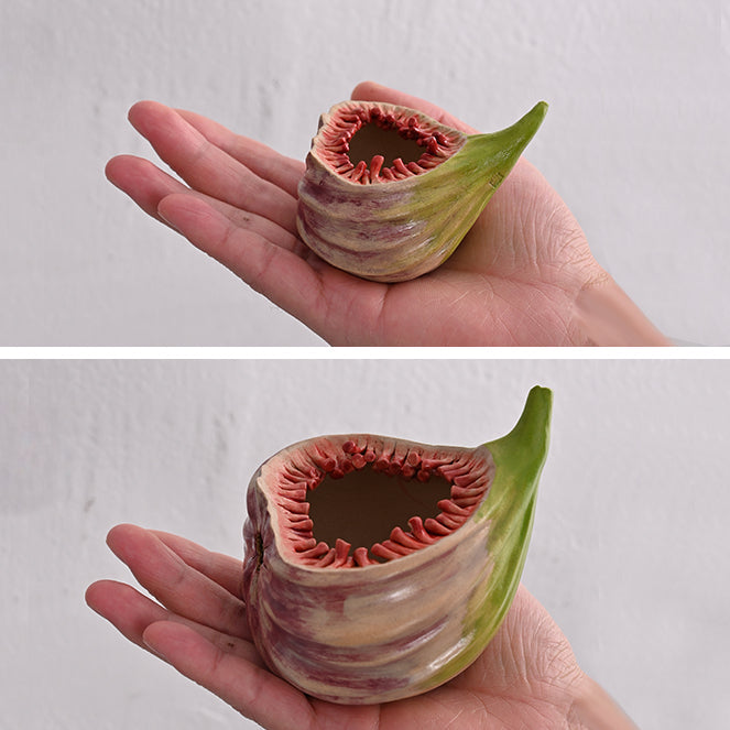 Creative Fig-shaped Mini Ceramic Plant Pot