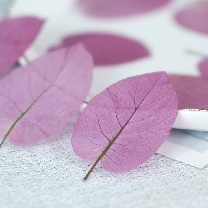 50 Pcs Dried Pressed Pink Leaves for Crafts